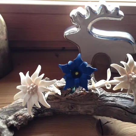 Almchalet Zillertal *